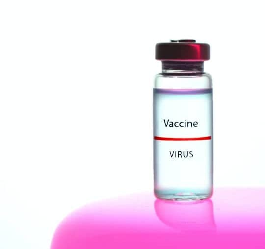 Nipah Virus Vaccine