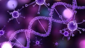 Molecular Biology